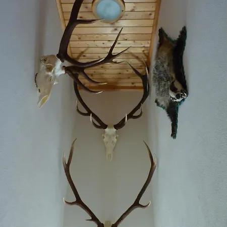 Prázdninový dům Dovolenkovy Dom Dudas *